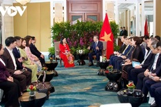 Party leader To Lam supports Vietnam – Singapore business cooperation