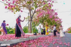 Pink trumpet flowers bloom on southwestern road