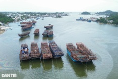 Quang Tri fishing boats idle amid severe labour shortages