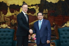 Vietnam treasures comprehensive partnership with Hungary: PM