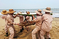 230​-kilo ​bomb ​discovered ​near ​residential ​area in Quang Binh