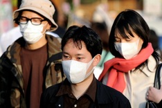 Vietnamese workers quit high-paying jobs in Japan due to hay fever