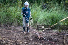 Rat earns world record for sniffing landmines in Cambodia