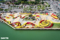 Danang opens 2km coastal flower street