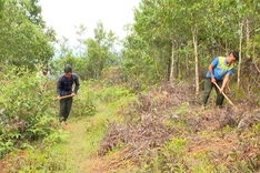 Yên Bái strengthens forest protection during hot days