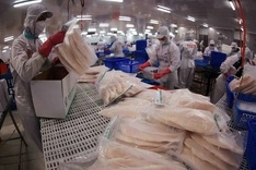 Cat fish exports on track reach close to 2 billion USD in 2025