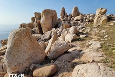 Exploring majestic beauty of Rock Park at Nui Chua National Park