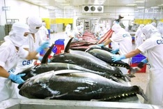 EC postpones Vietnam’s seafood inspection until year end