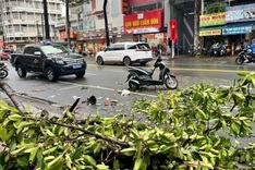 10-year-old boy in coma after being hit by fallen tree branch