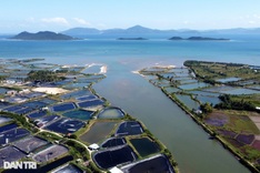 Mang Den and Van Phong airports added to national aviation development plan