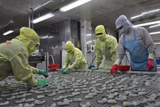 PM askes measures to aid farm exports amid global trade volatility