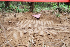 Large cache of unexploded ordnance discovered in Quang Tri