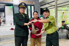 More rare wild animals rescued in Hue