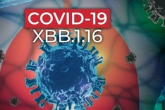 Health Ministry warns about COVID-19 resurgence amid global rise
