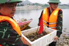 Dozens of hand grenades retrieved from Da River