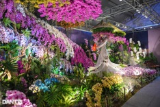 Over 39,000 orchid displays showcased at Ho Chi Minh City flower festival