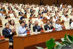 Conference concretises Party resolutions on legal reform, private sector