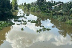 Crocodile spotted in Long An canal