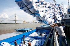 Vietnam boosts rice trade through 2030 with new measures
