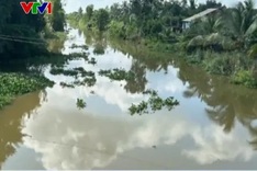 Crocodile spotted in Tien Giang river