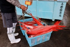 China, Japan close to resuming seafood imports after Fukushima ban