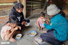 Phu Yen single mother struggles to raise five children