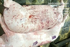 CP Vietnam pork products sales suspended amid contamination allegations