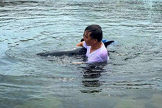 Exhausted dolphin rescued after stranding in Danang