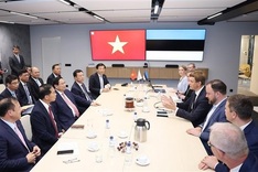 Prime Minister works with Estonian firms to accelerate projects in Vietnam