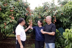 Lychee-themed tourism programme launched in Bac Giang