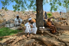 Climate change heightens risk of Indian farmer suicides