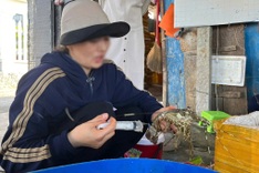 Jelly used to fake lobster freshness at Phu Yen seafood facility