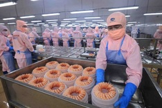 Vietnam’s GDP forecast revised down amid global trade uncertainty