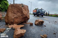 Heavy rains trigger landslides in Son Tra Peninsula