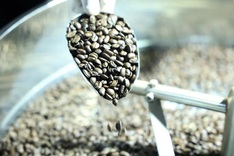 Vietnam eyes to expand market for processed coffee