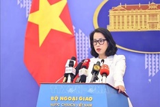 Vietnam becomes a Partner Country of BRICS
