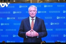 OECD outlines reform roadmap in 2025 Vietnam economic survey