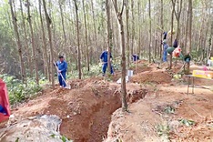 Remains of 10 war martyrs discovered in Quang Tri