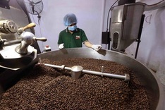Vietnam targets USD 65 billion in agro-forestry-fishery exports in 2025