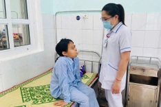 Young girl hospitalised after monkey attack in Quang Tri