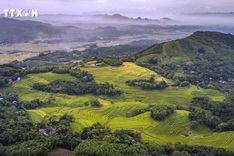 Untapped tourism potential in Mien Doi terraced fields