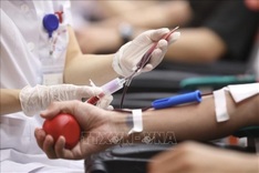 Hanoi blood donation campaign sets to collect 4,000 units of blood