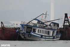 Cruise lines apologise for fireworks after deadly Ha Long Bay boat capsize