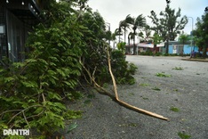 Typhoon Wipha makes landfall between Hung Yen and Ninh Binh
