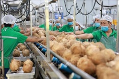 Vietnam's fruit and vegetable exports top USD 3.8 billion in seven months