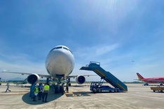 Surge in bird strikers prompts aviation authority to tighten controls