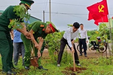 Lam Dong plants over 5,000 trees along border road with Cambodia