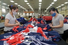 EVFTA boosts Vietnam – EU trade to nearly USD 300 bln in five years
