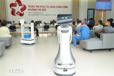 HCM City trials robots for public service delivery