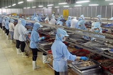 US cuts tariff to 20 per cent on Vietnam, investment unaffected: expert